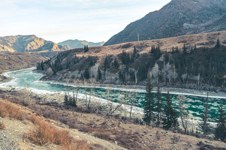 Beautiful winter landscape in winter. Unfrozen mountain river flows among mountains and pine trees.の写真素材