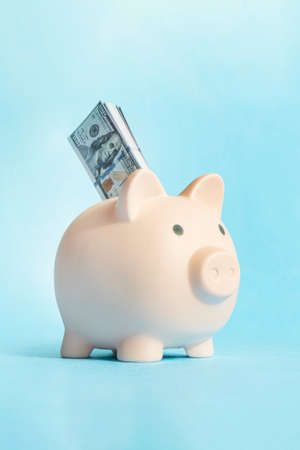 Piggy bank. the concept of preserving and saving money. dollars in the piggy bank on a blue...