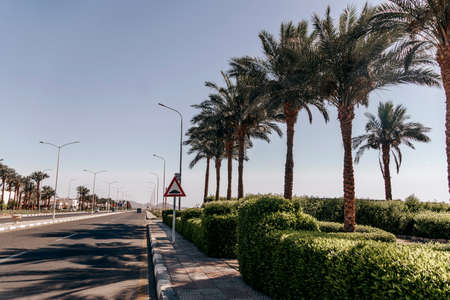 Street in Sharm El Sheikh. An asphalt road among tropical landscapes in a resort town on the Sinai Peninsulaの写真素材