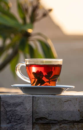Having mint tea at an cafe while contemplating the impressive three pyramids of Giza. Transparent glass mug with black tea and mint on the background of the Egyptian pyramids.の写真素材
