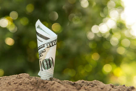 the 100 Dollar bill is planted in the ground. The concept of profitability from agriculture, crop...