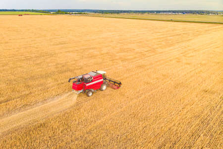 Agriculture machine harvesting crop in fields. Tractor pulls a mechanism for haymaking. Harvesting...