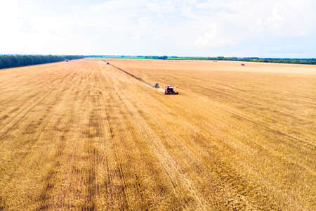 Aerial view drone of harvest field with tractor mows dry grass. Autumn yellow field with a haystack after harvest top view. Harvesting in the fields. Stock up on hay for the winter. Top view.の写真素材