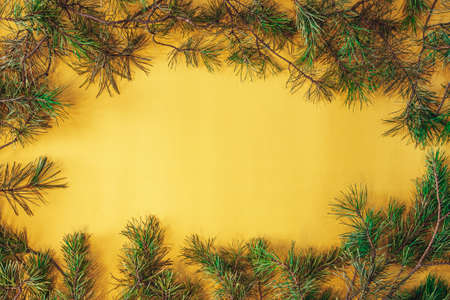 Vintage christmas greeting card. yellow square frame with fir branches. New Year's Christmas decorationsの写真素材