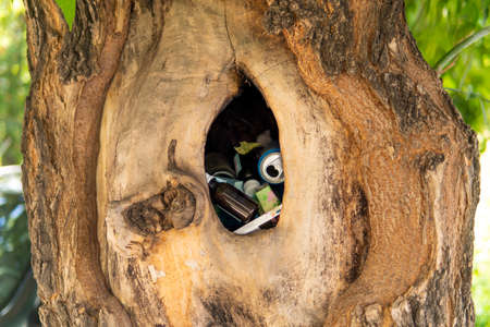Garbage in the empty hollow of a tree, nature protection concept, ecology. concept of environmental...