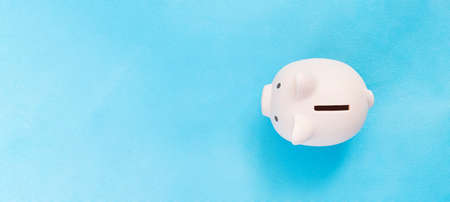 piggy bank on a blue background. concept of preserving and saving money. muzzle, top view