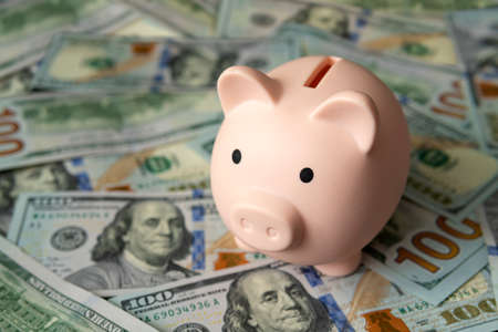 Pig piggy bank on background of 100 US dollar bills. Concept of wealth and exchange.の写真素材