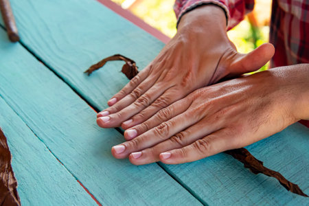 traditional process of making cigars in close-up. A man rolls a tobacco leaf into a cigar. The valley of Vinales Cuba. Ingredients and tools for producing cigars on the table.の写真素材
