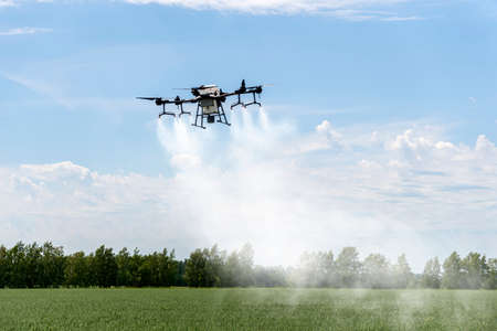 Modern technologies in agriculture. industrial drone flies over a green field and sprays useful...