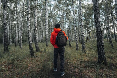 Hike trail hiker man walking in autumn fall nature woods during all season. Hiking active people...