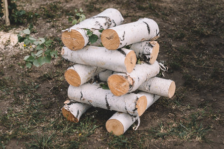 Thick birch logs close-up. Wood harvesting at the sawmill. A pile of birch wood is lying on the grass. Cutting firewood for heating the house.の写真素材