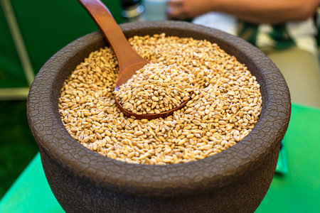 ripe wheat in a wooden spoon and plateの写真素材