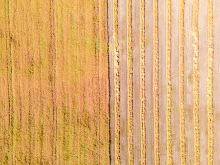Aerial drone image of fields with diverse crop growth based on the principle of polyculture and permaculture - a healthy farming method of ecosystemの写真素材