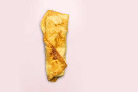 Tasty burrito on pink background, closeup. copy space bright pink background color.