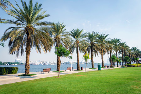 A beautiful modern urban park with a green lawn and palm trees on the seashore. Dubai United Arab Emirates.のeditorial素材