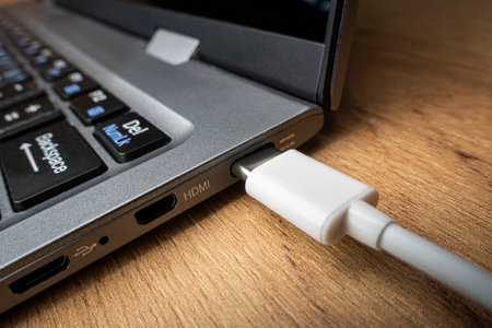 Cable USB adapter under the Type-C connector is installed in the laptop against the background of a...