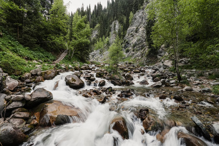 View of the mountain river with a strong current and rifts. The river is among the violent greenery. mountain stream with clear waterの写真素材