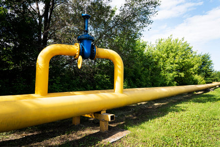 Stopcock on pipe among grass beneath cloudy skyの写真素材