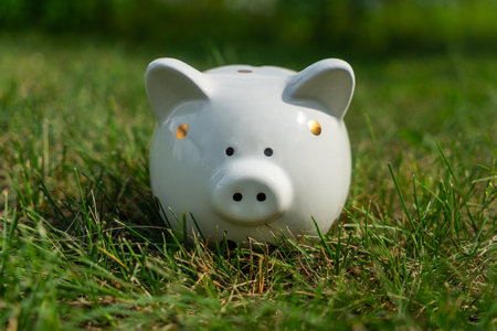 Pink piggy bank on a meadow of green grass. put up money. make money deposits. business concept