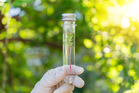 Biotechnology Research. Seedling growing in laboratory undergoing experiment on blurry green background of nature..の写真素材