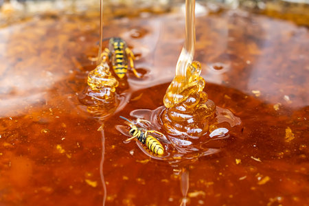 Macro honey bubbles close-up bright amber color. texture of honey. The concept of healthy eating. Diet. the wasp drowned in honey, the wasp is sitting on sticky honeyの写真素材