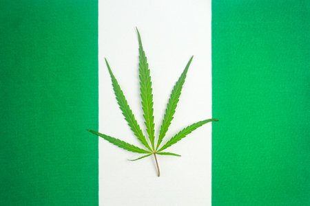 a hemp leaf on background of the Nigerian flag. Concept of legalization and changes in legislation regarding cultivation and use of marijuana in the country Nigeriaの写真素材