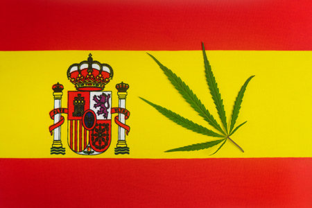 a hemp leaf on background of the spanish flag. Concept of legalization and changes in legislation regarding cultivation and use of marijuana in the country Spainの写真素材