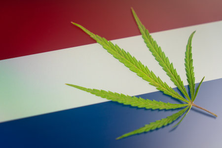 a hemp leaf on background of the holland flag. Concept of legalization and changes in legislation regarding the cultivation and use of marijuana in the country Netherlands.の写真素材
