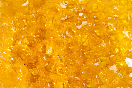 beecombs full of fresh honey in the detail - a macro photoの写真素材