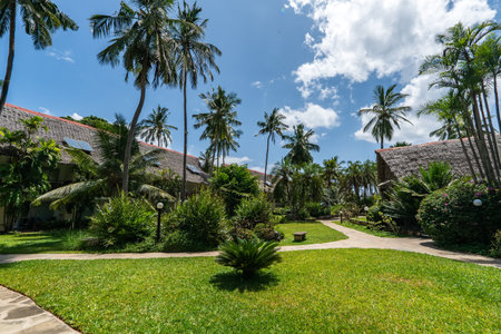 Bamboo Straws and sticks roof huts tropical village bungalow houses resort palm trees on a sunny day Ecotourismの写真素材