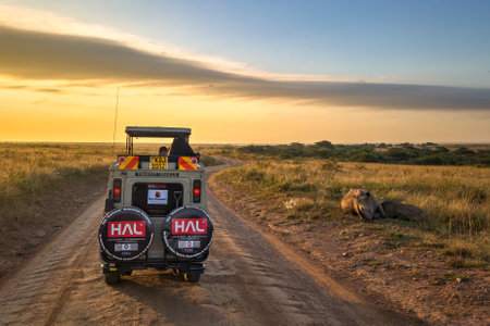 February 17, 2024. Nairobi National Park, Kenya. Tourists in a safari off road car with an open roof taking photos of wild animals. national park in East Africaのeditorial素材