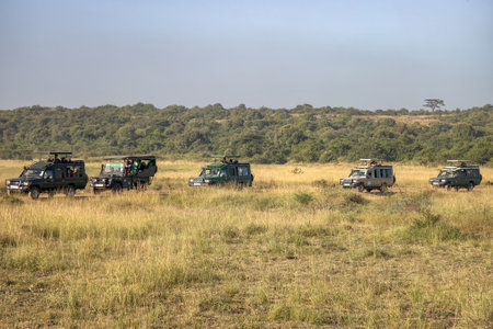 A tourist photographs of wild animals during a safari tour in Kenya. A man with a camera in an open-top safari car is traveling in Africa. Nairobi National Park, Kenya. February 17, 2024.のeditorial素材