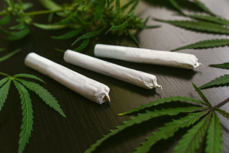 Equipment smoke weed on black background. Cannabis legalization. CBD and THC on buds in cannabis....
