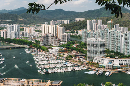 view of white luxury yachts moored neatly in harbor portの写真素材