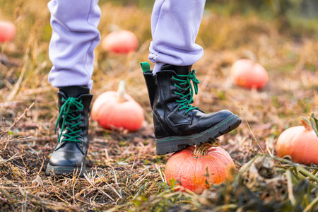 Girl holding pumpkin. Autumn harvest from farm. Local homegrown vegetables on Halloween. Kid growing organic eco-friendly food. Harvesting in family gardenの写真素材