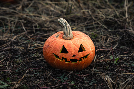 Carved evil pumpkins for Halloween on the autumn field in the dry grass in the dark.