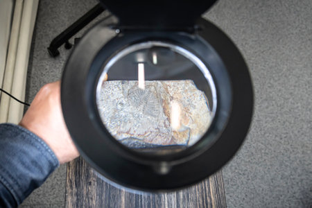 Ancient prehistoric fossils. An archaeological find. the first living beings on the planet earth. a scientist archaeologist examines fossils, archaeological finds in a magnifying glass.の写真素材