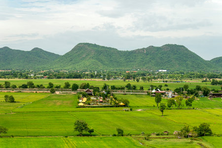the house is surrounded by rice plantations. Agriculture in Southeast Asia.の写真素材