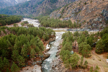 Amazing aerial shot of beautiful river. Forest background.