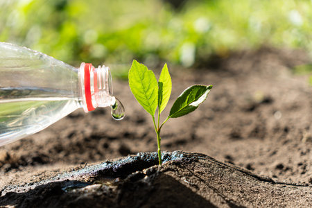 Gardening concept - a watering in the gardenの写真素材