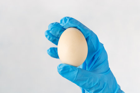 right hand in a blue rubber glove is transferring an egg from a cardboard patch to a plastic container. Close-upの写真素材