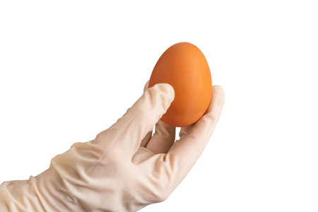 A hand holding the last remaining egg isolated on a white backgroundの写真素材