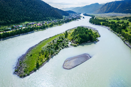 Top view of spring forest and the river. beautiful landscape. natural background