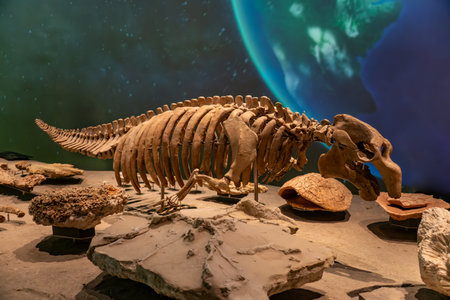 The history of the evolution of the animal world, exhibition national museum of Qatarの写真素材