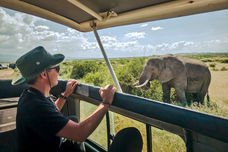 tourist in a car with an open roof, looking for elephant crossing during a typical day of a safari