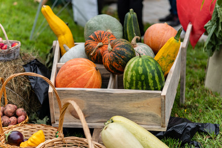 lots of ripe fresh various vegetables and fruits on the green grass and in a wooden box. The autumn harvest concept. Vegetarian food.の写真素材