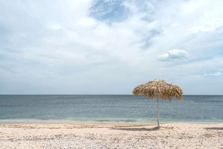 Reed umbrellas on the beach to the seasideの写真素材
