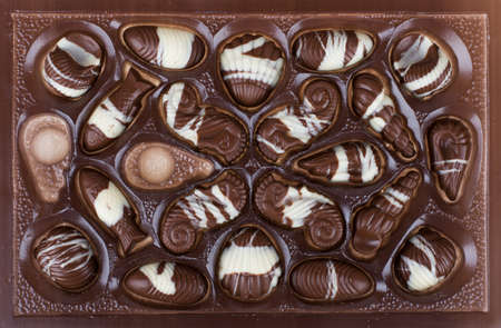 Chocolates shaped like seafoodの写真素材
