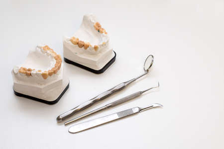 dental gypsum models, dentist's officeの写真素材
