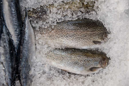 Fresh fish into ice
